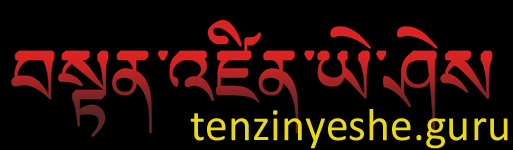 tenzinyeshe.guru